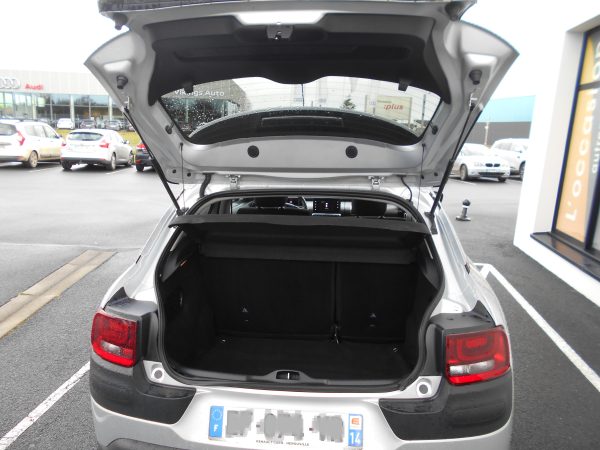 Citroen c4 cactus – Image 4